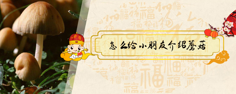 怎么給小朋友介紹蘑菇