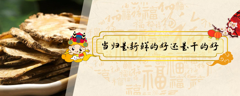 當(dāng)歸是新鮮的好還是干的好
