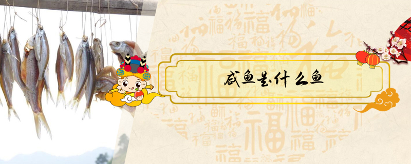 咸魚是什么魚