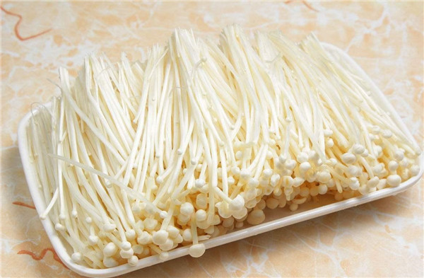 金針菇能冷凍保存么