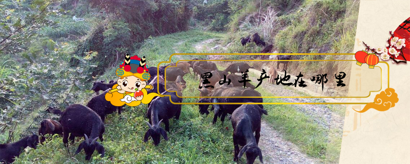 黑山羊產(chǎn)地在哪里