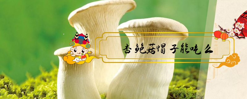 杏鮑菇帽子能吃么