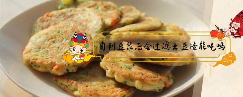 自制豆?jié){后會過濾出豆渣能吃嗎