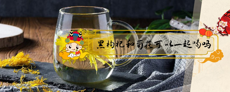 黑枸杞和菊花可以一起喝嗎