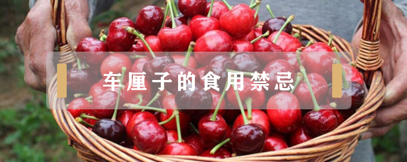 車厘子的食用禁忌