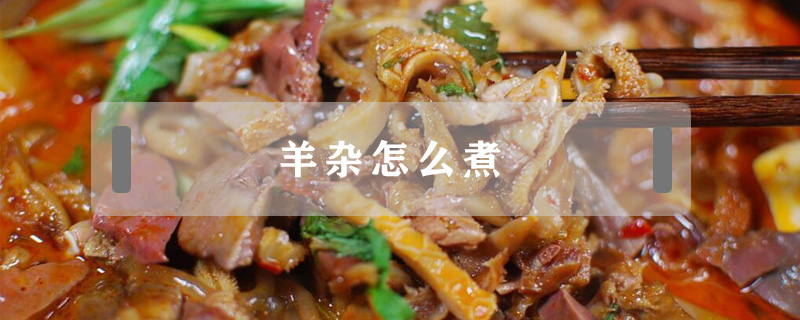 羊雜怎么煮