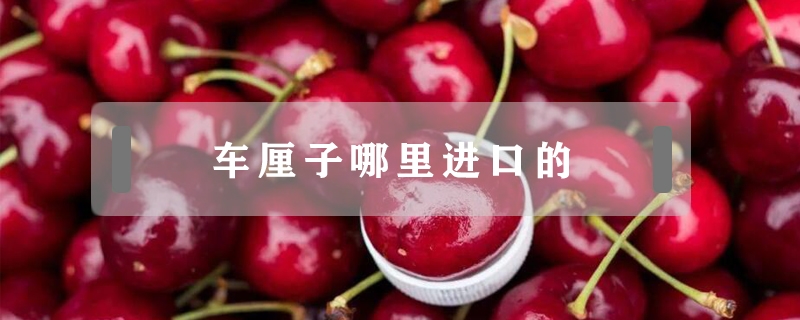 車厘子哪里進口的