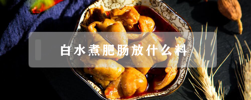 白水煮肥腸放什么料