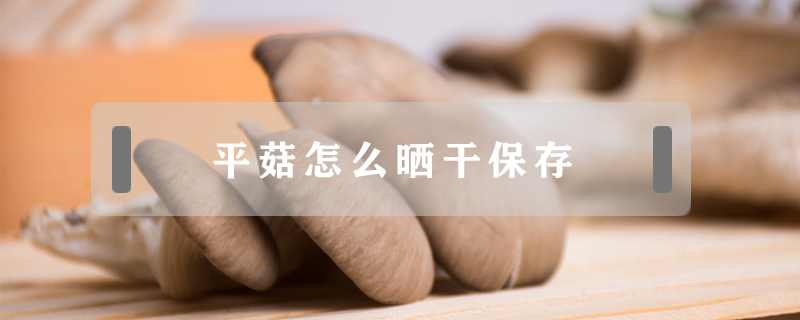 平菇怎么曬干保存