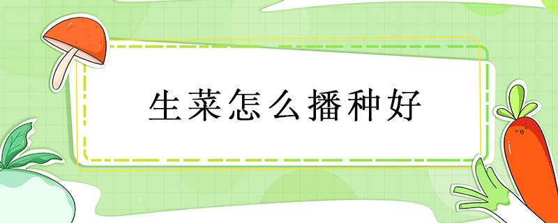 生菜怎么播種好