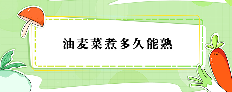 油麥菜煮多久能熟