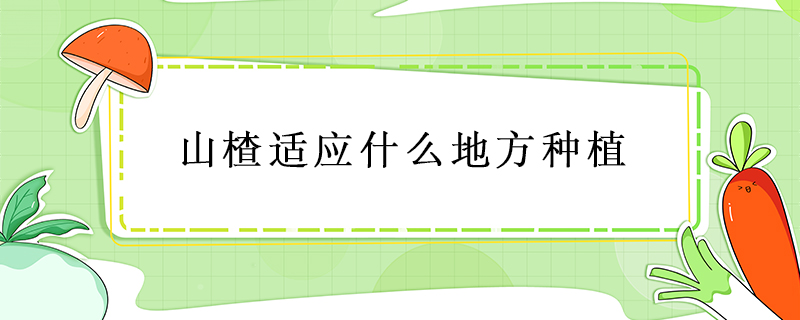 山楂適應什么地方種植