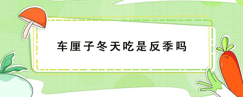 車厘子冬天吃是反季嗎