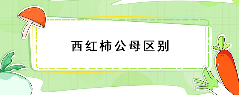 西紅柿公母區(qū)別