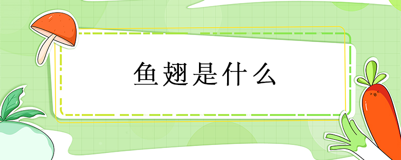 魚翅是什么