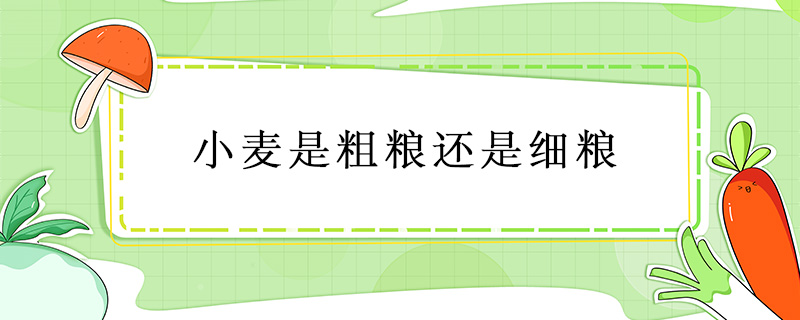 小麥是粗糧還是細糧