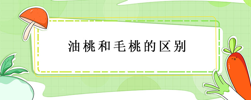 油桃和毛桃的區別