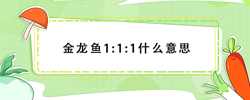 金龍魚1:1:1什么意思
