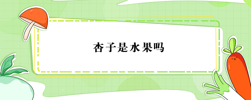 杏子是水果嗎