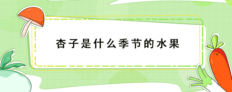 杏子是什么季節的水果