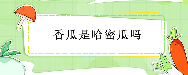 香瓜是哈密瓜嗎