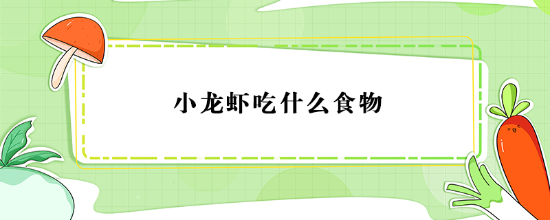 小龍蝦吃什么食物