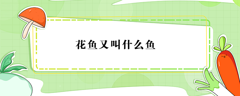 花魚又叫什么魚