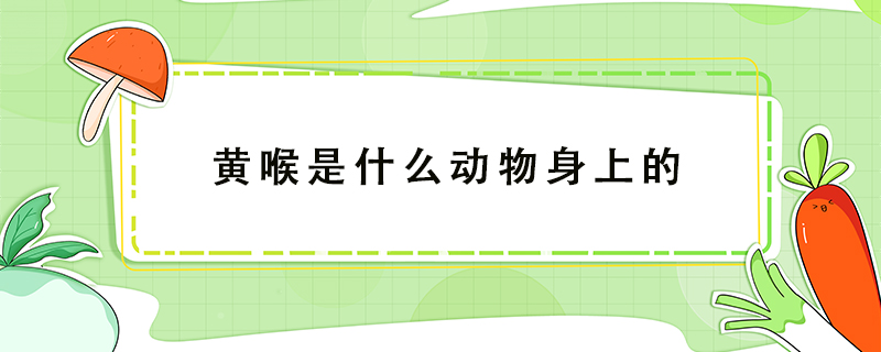 黃喉是什么動物身上的