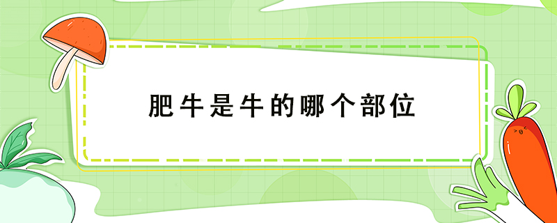 肥牛是牛的哪個(gè)部位