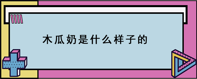 木瓜奶是什么樣子的