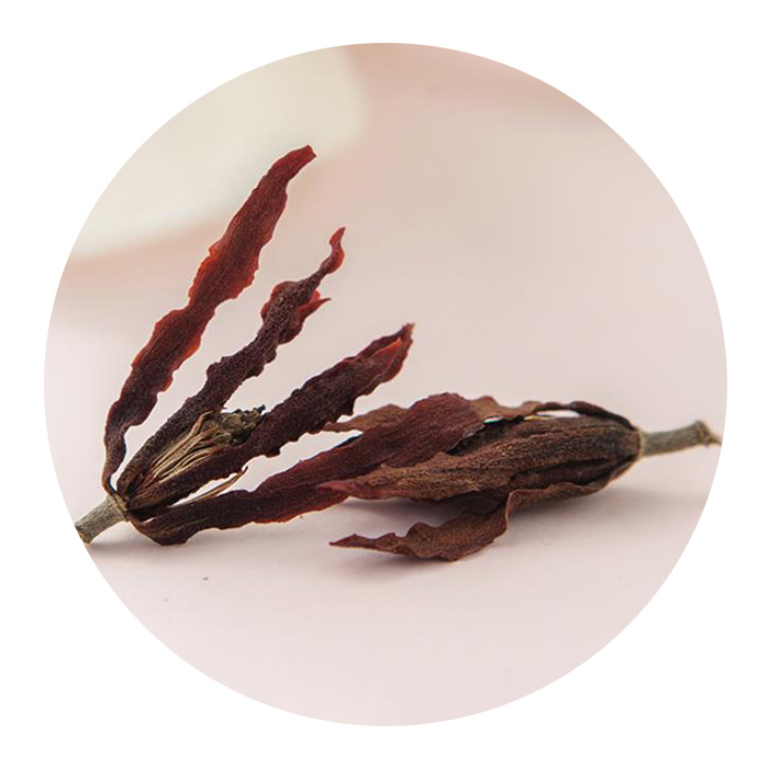 玉蘭花茶