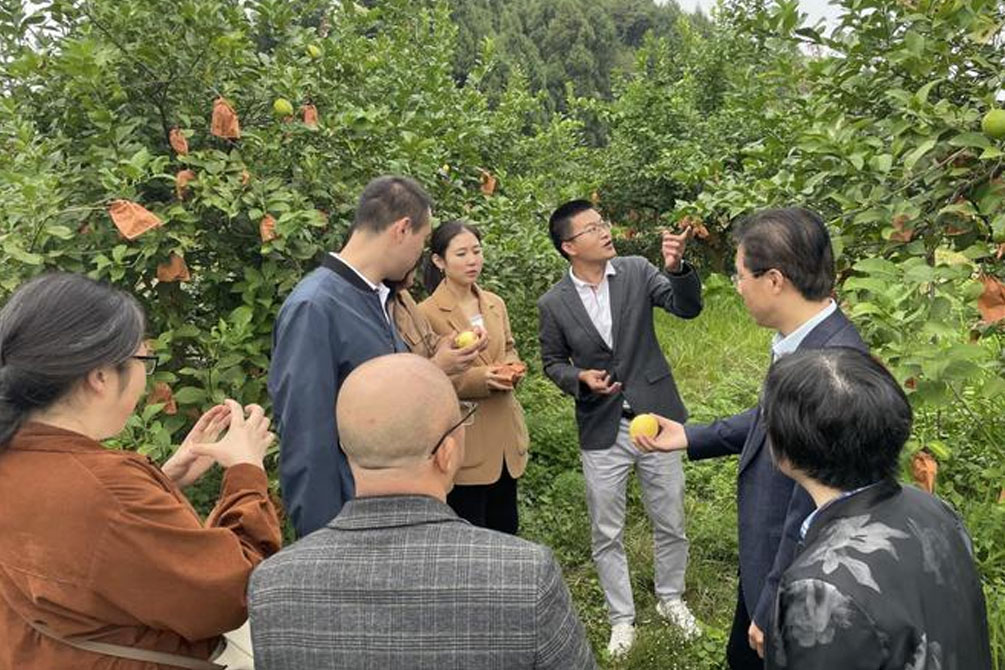 資陽發布《檸檬種植農業氣象服務規范》地方標準  減少果品差異提質增效